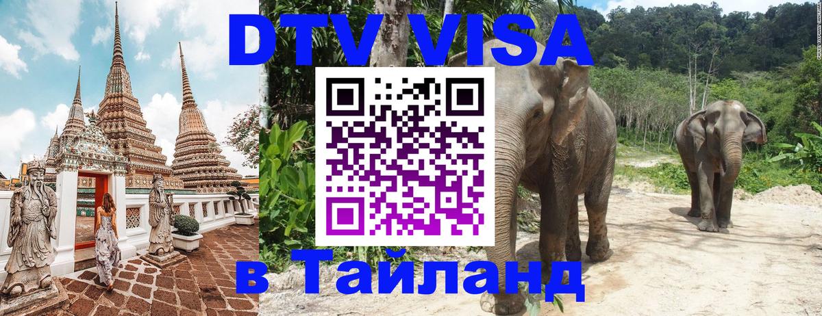 Стоимость и условия DTV визы — оформление в Таиланд под ключ - Тамбов  04.10.2025 